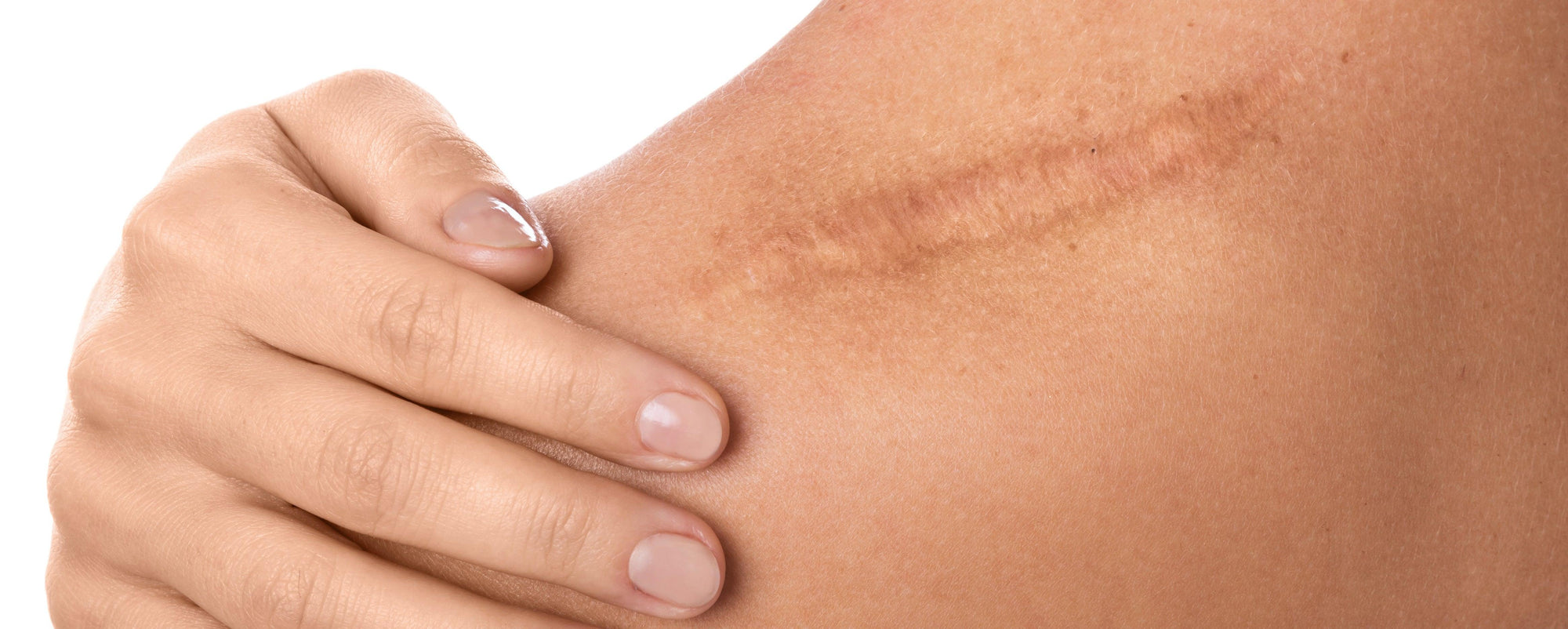 AdobeStock_170322394 - Oleassence en Luberon