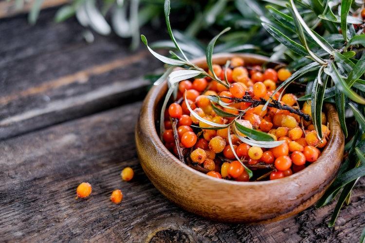 AdobeStock_292808121 - Oleassence en Luberon