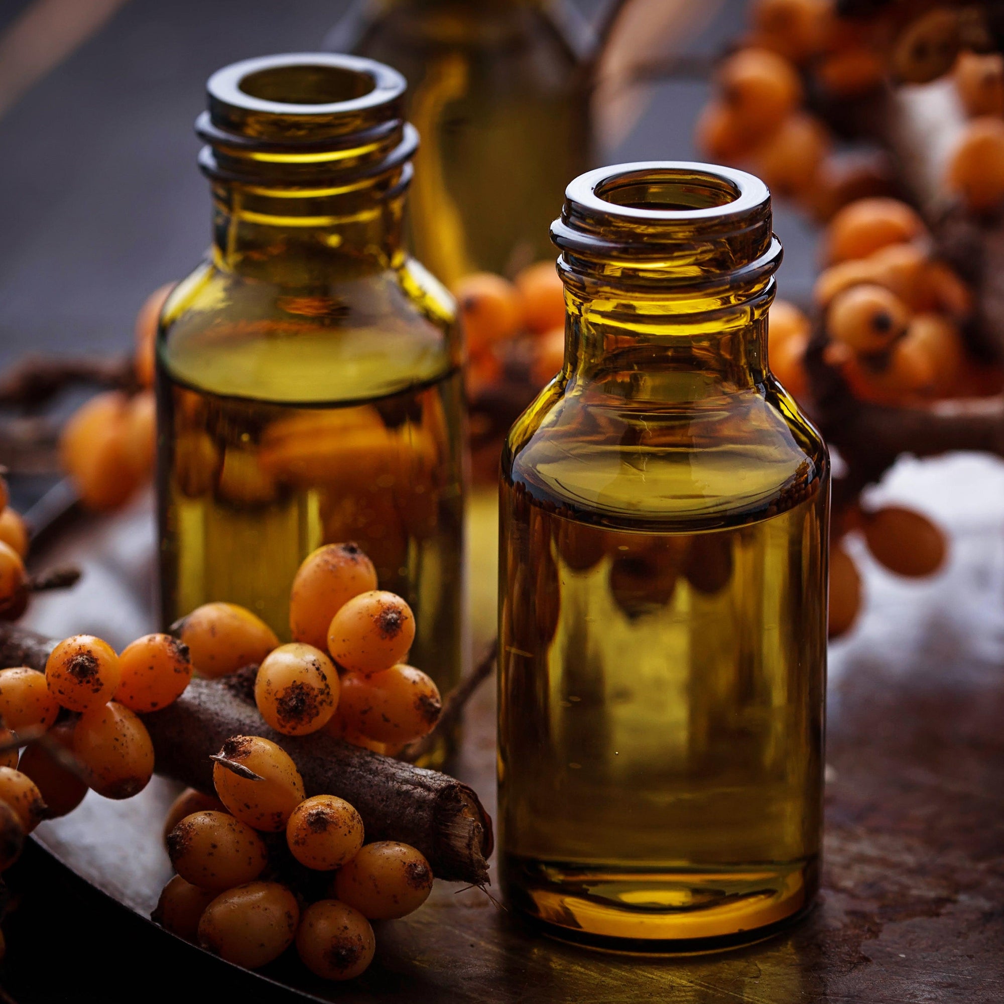 argousier_fb3642ac-9b41-457a-8ae5-9b9247322999 - Oleassence en Luberon