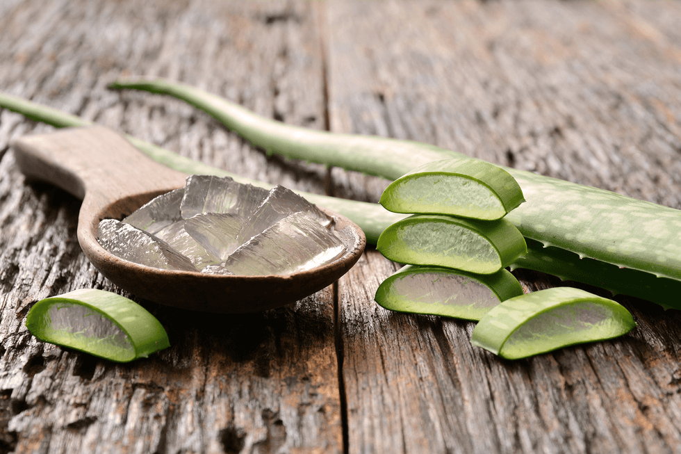 Aloe vera : - Oleassence en Luberon