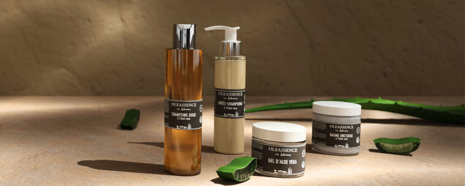 OFFRES EXCLUSIVES DE NOVEMBRE