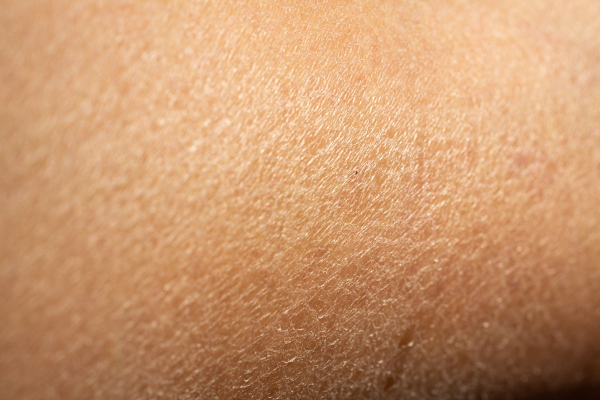 Sécheresse - Oleassence en Luberon