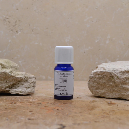 Huile Essentielle de Céleri - Oleassence en Luberon