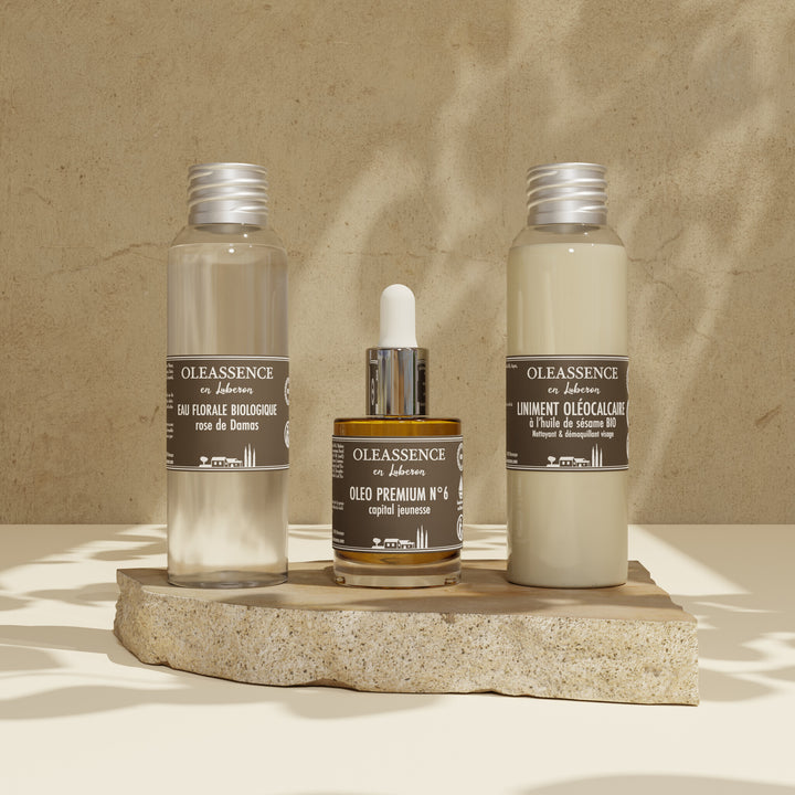 Pack Capital Jeunesse